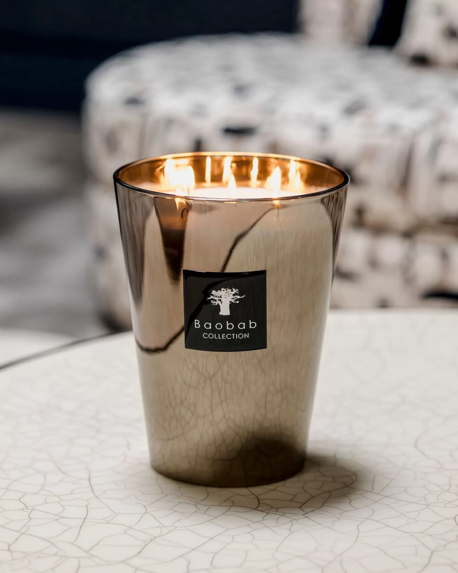 Max 10 Platinum 500 Gr>Baobab Best