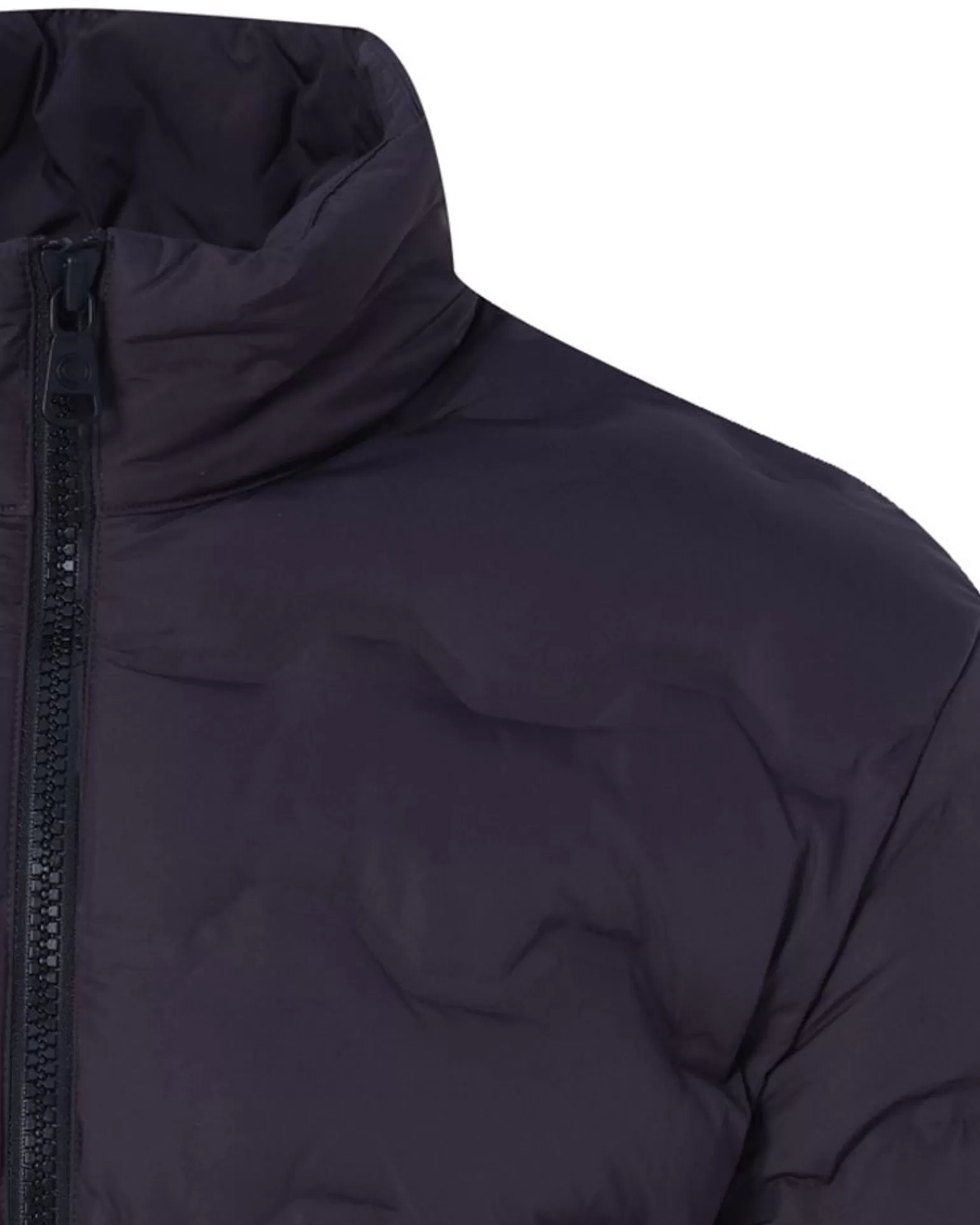 Gewatteerde Jas>Colmar Fashion