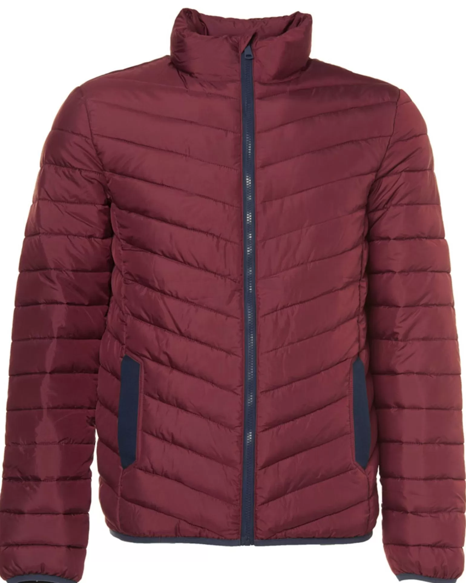 Gewatteerde Jas>The BLUEPRINT Premium Flash Sale