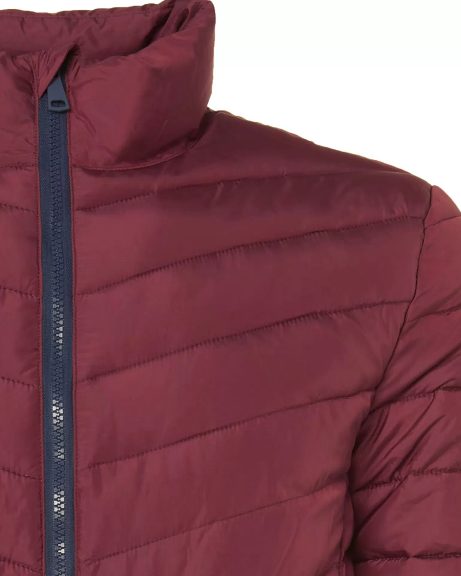 Gewatteerde Jas>The BLUEPRINT Premium Flash Sale